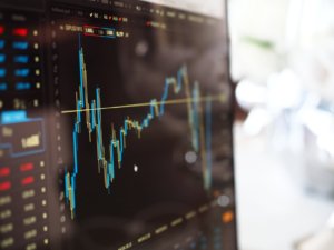 analyzing a stock for the new investor